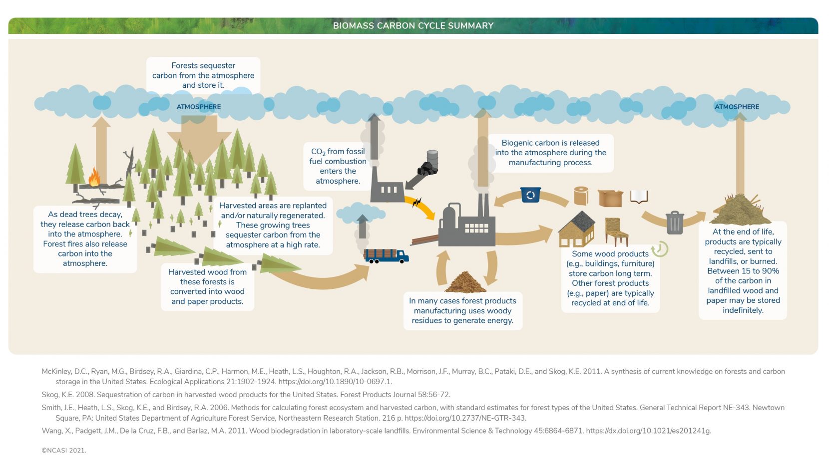 Biomass Carbon Cycle Diagram NCASI